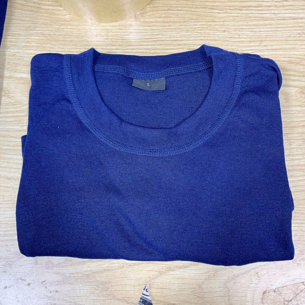 Áo thun  mầu xanh freesize dài tay / cộc tay size L Châu Âu