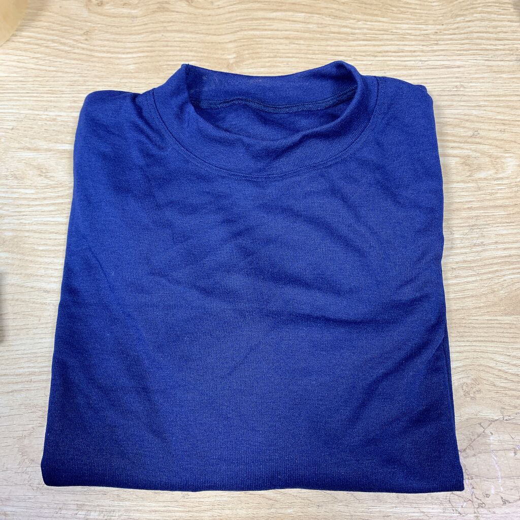 Áo thun  mầu xanh freesize dài tay / cộc tay size L Châu Âu - Ảnh 2