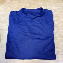 Áo thun mầu xanh freesize dài tay / cộc tay size L Châu Âu