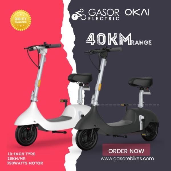 Xe đạp điện gấp gọn OKAI EA10 ( hàng Walmart Mỹ )