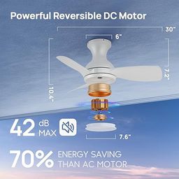 Quạt trần ConscioT Sovia, gió đảo chiều, đèn led, có remote ( hàng Amazon Mỹ )