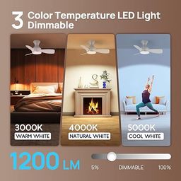 Quạt trần ConscioT Sovia, gió đảo chiều, đèn led, có remote ( hàng Amazon Mỹ )