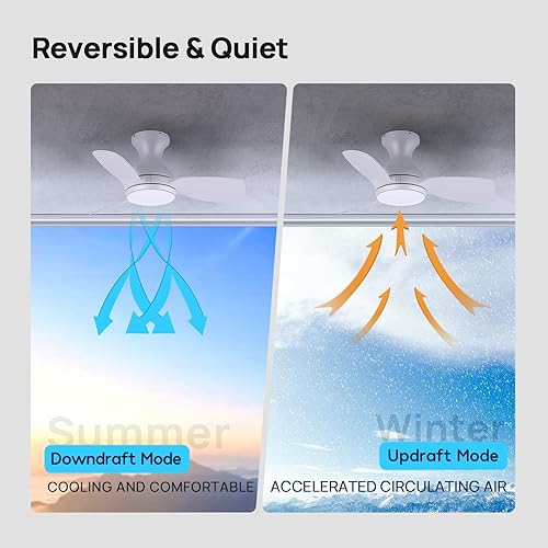 Quạt trần ConscioT Sovia, gió đảo chiều, đèn led, có remote ( hàng Amazon Mỹ ) - Ảnh 8