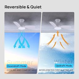 Quạt trần ConscioT Sovia, gió đảo chiều, đèn led, có remote ( hàng Amazon Mỹ )