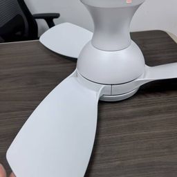 Quạt trần ConscioT Sovia, gió đảo chiều, đèn led, có remote ( hàng Amazon Mỹ )