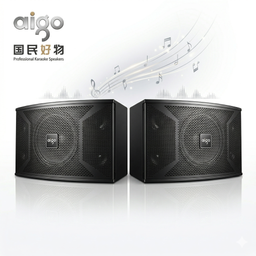 Cặp loa dàn Karaoke AIGO X109 ( 2 chiếc )