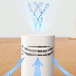 Máy phun sương tạo độ ẩm thông minh Xiaomi Mijia CJSJSQ01DY 2.2L (kết nối App…