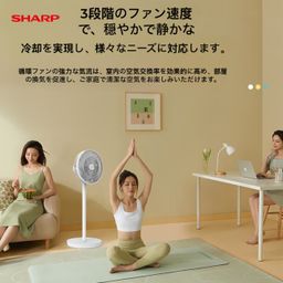 Quạt cây AI thông minh SHARP PJ‑CD202B, 15 cánh, công suất 40W, tạo ion
