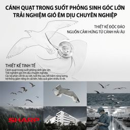 Quạt cây đa năng chính hãng SHARP PJ-CD300A, công suất 40W, tăng giảm chiều ca…