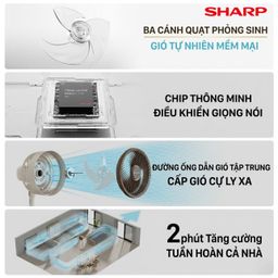 Quạt cây đa năng chính hãng SHARP PJ-CD300A, công suất 40W, tăng giảm chiều ca…