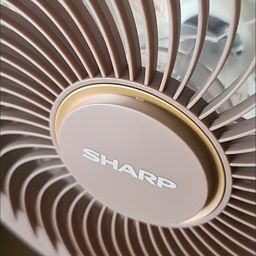 Quạt cây đa năng chính hãng SHARP PJ-CD300A, công suất 40W, tăng giảm chiều ca…