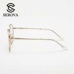 Kính mắt cao cấp chính hãng SEROVA SL389 - C11
