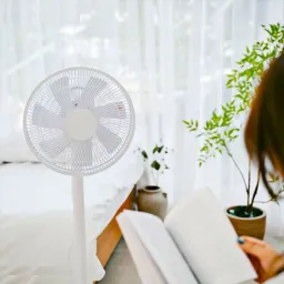 Quạt cây thông minh thiết kế 7 cánh Xiaomi Jipin JP - F08 - DXA , kết nối App…