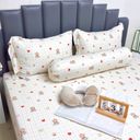Bộ chăn ga gối full 5 món - Chất liệu Tencel Microfiber