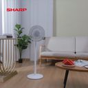 Quạt cây SHARP model: PJ-CD204A, tăng giảm chiều cao, động cơ DC, tiết kiệm điện
