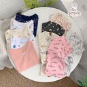 [Kho Mỹ Đình] E0366 Set 3 áo thun tay bo nhiều màu size 80-130