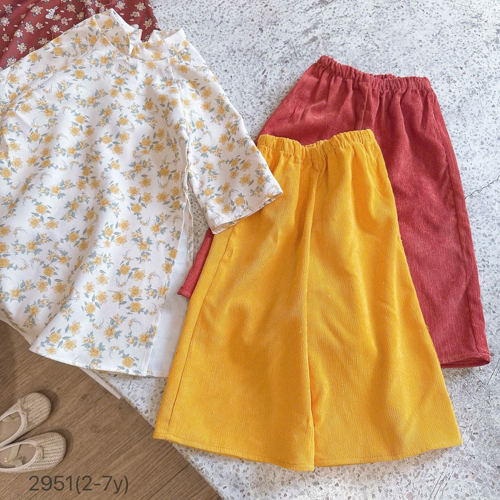 [Kho Mỹ Đình] 2-7y(11-30kg) 2951 OP Set áo dài bé gái nhung hoa nhí