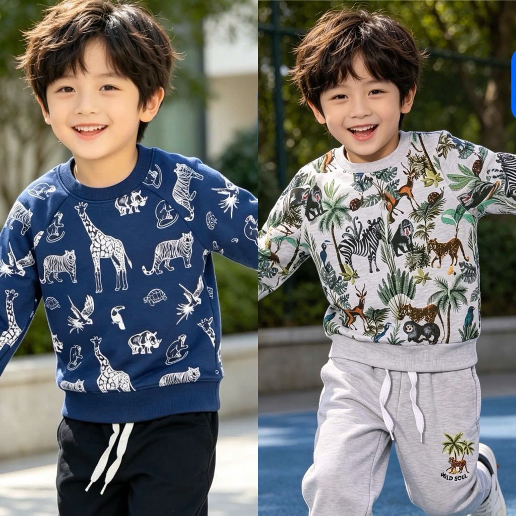 [Kho Mỹ Đình] 2-9y C4548 Áo nỉ xuất dư hoạ tiết cho bé trai