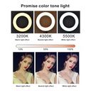 Giá Đỡ Livestream 2 Điện Thoại S3 + Đèn LED 3 Màu Chỉnh Sáng Xoay 360° Quay Video TikTok - Ảnh 8