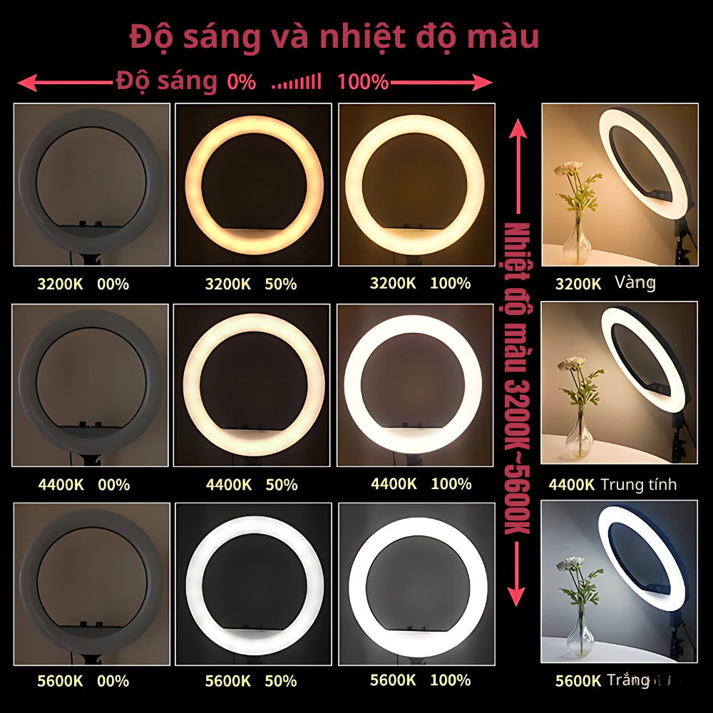 Bộ Đèn RL14A 36cm + 3 Kẹp ĐT+ Remot+ Chân 8819 - Ảnh 7