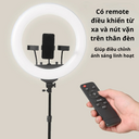 Bộ Đèn RL21B 45cm + 3 Kẹp ĐT+ Remote Kèm Chân Linco 8806 1,5kg - Ảnh 10