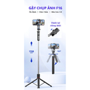 Gậy Chụp Ảnh F16 - 178cm - Màu Đen - Ảnh 10