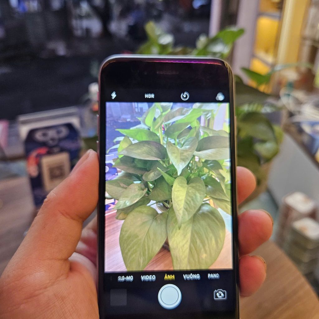 iphone 6g 16gb zin cũ đẹp full chức năng nghe gọi zalo fb tiktok mượt ( mua 10 tặng 1 ) - Ảnh 3