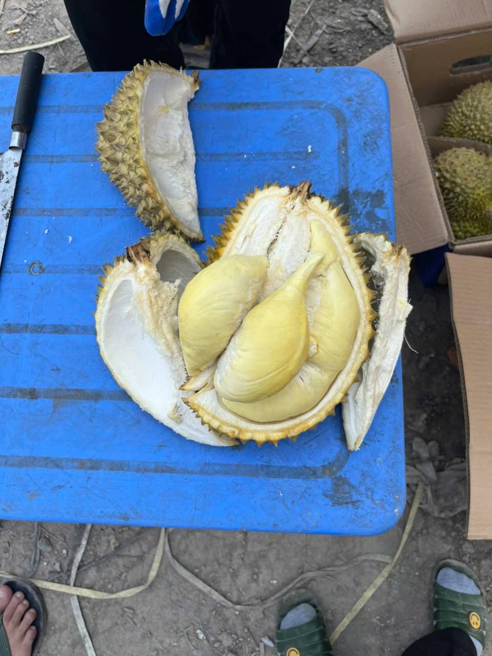 Sầu riêng hàng Thái xuất khẩu  - Ảnh 3