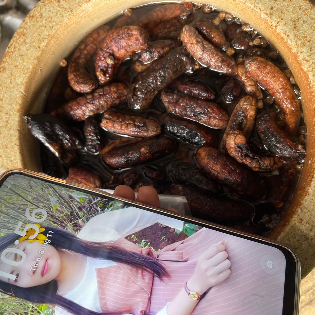 Rượu chuối rừng kon tum 