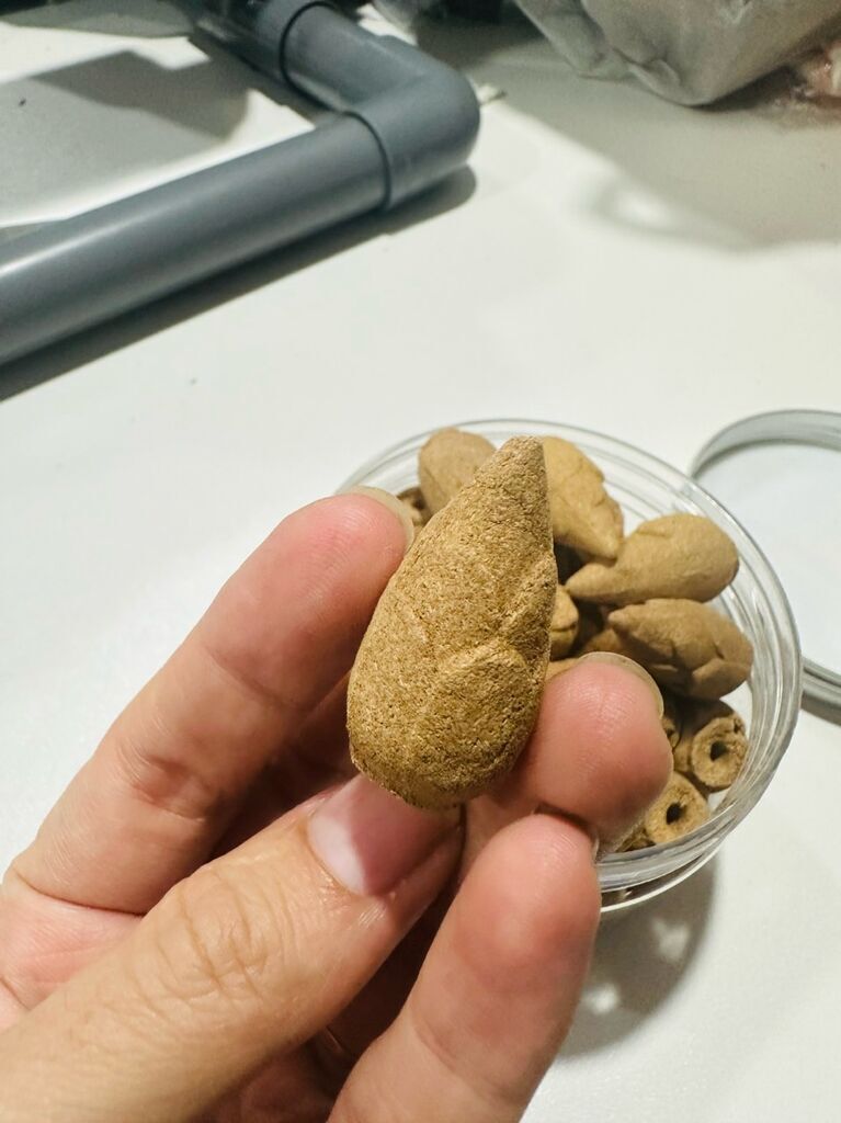 Nụ trầm đơn