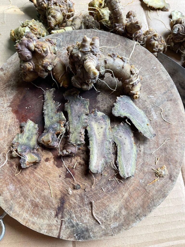 Tam Thất Bắc ( Dạng bột và thái lát) 100g