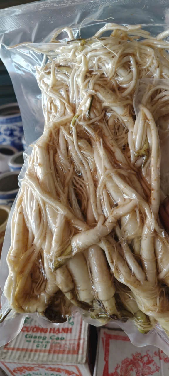 Sâm cát cánh 1kg tặng kèm kỷ tử