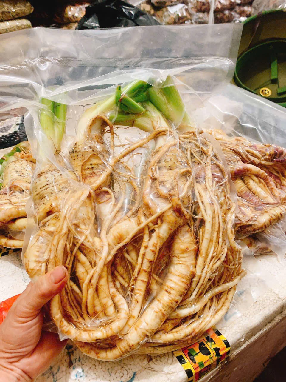 Sâm xuyên đá 1kg