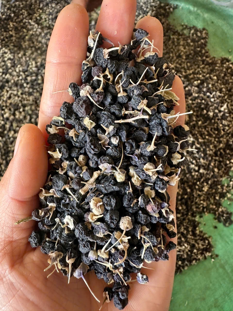 Hắc kỷ tử 500g