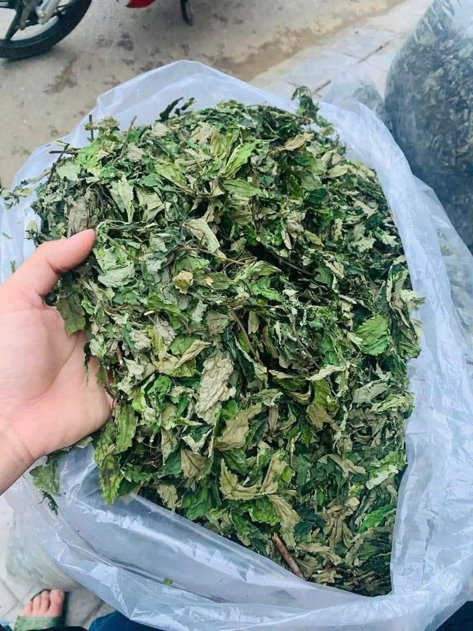 Lá đắng 500g
