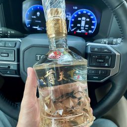 Nhất Tôn Thiên Hạ