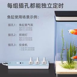 Ổ điện thông minh Wi-Fi hãng DELIXI, cổng C 20W + 3 ổ 220V