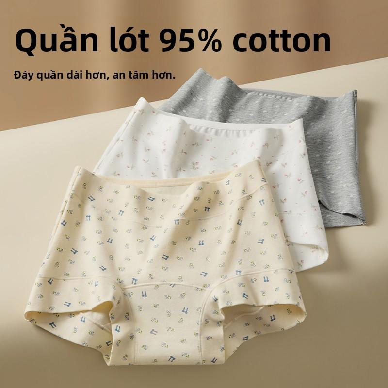 [Natury]Quần lót nữ bằng cotton nguyên chất, đáy quần kháng khuẩn, bộ 3 chiếc UNG01