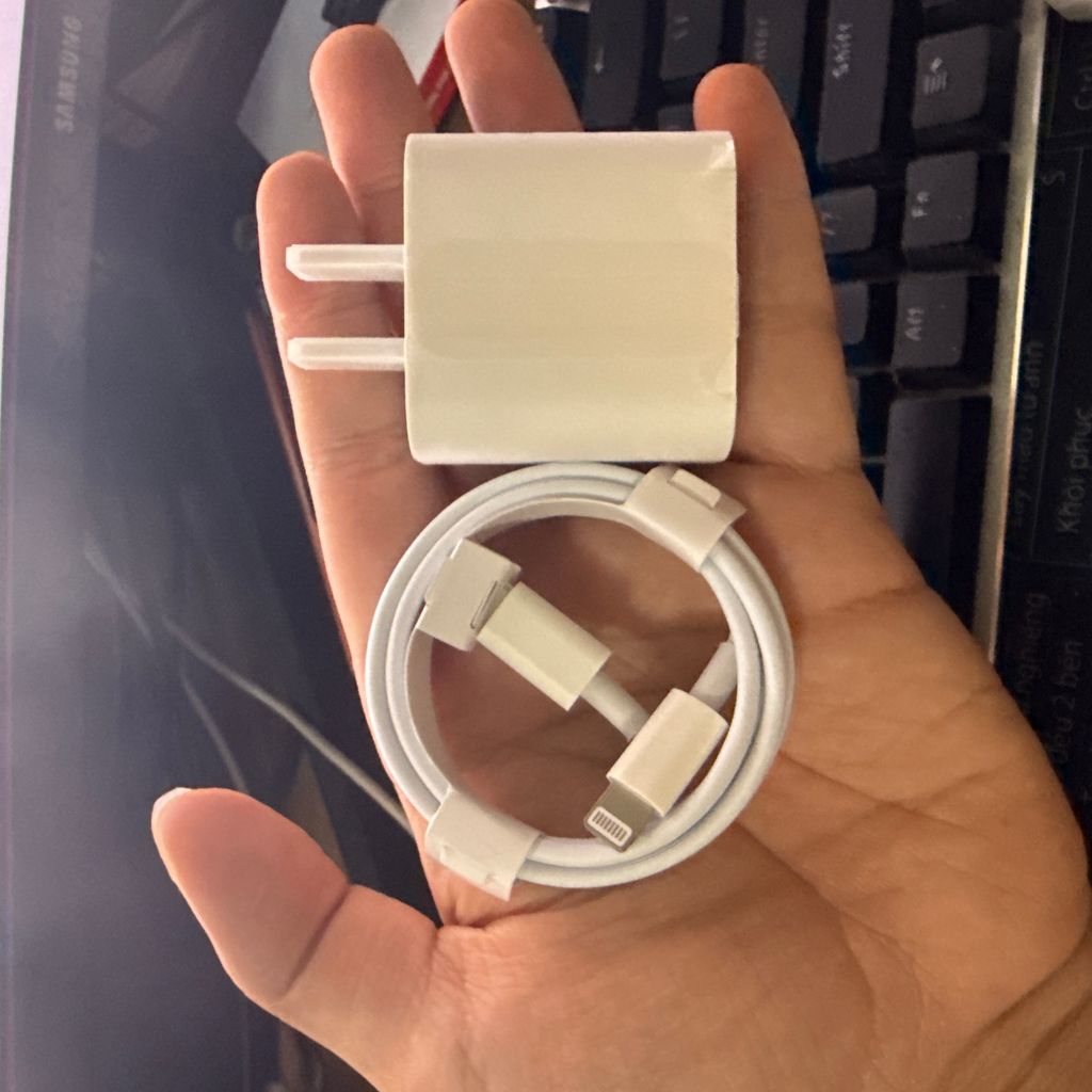 Bộ sạc nhanh C to L PD20w nội địa