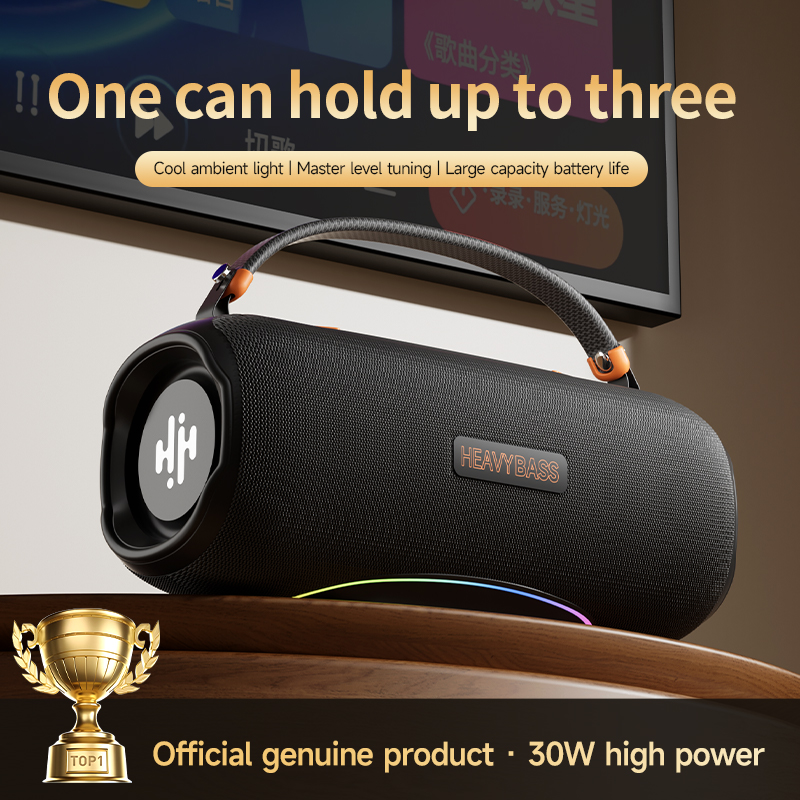 Loa Heavy Bass 10 Công Xuất 30W