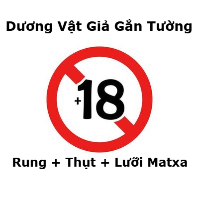 Dương Vật Giả Gắn Tường Rung Thụt Điều Khiển Từ Xa