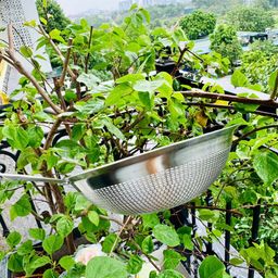 RÂY LỌC INOX 304 ĐA NĂNG 16CM LOẠI 1 ##RK001
