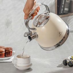 ẤM ĐUN BẾP TỪ KAILER 3.5L KL-266