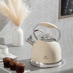 ẤM ĐUN BẾP TỪ KAILER 3.5L KL-266