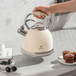 ẤM ĐUN BẾP TỪ KAILER 3.5L KL-266
