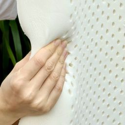 gối cao su tự nhiên của Kaiyo Nhật Bản, xin nhấn mạnh là #CAO_SU_TỰ_NHIÊN_100%…