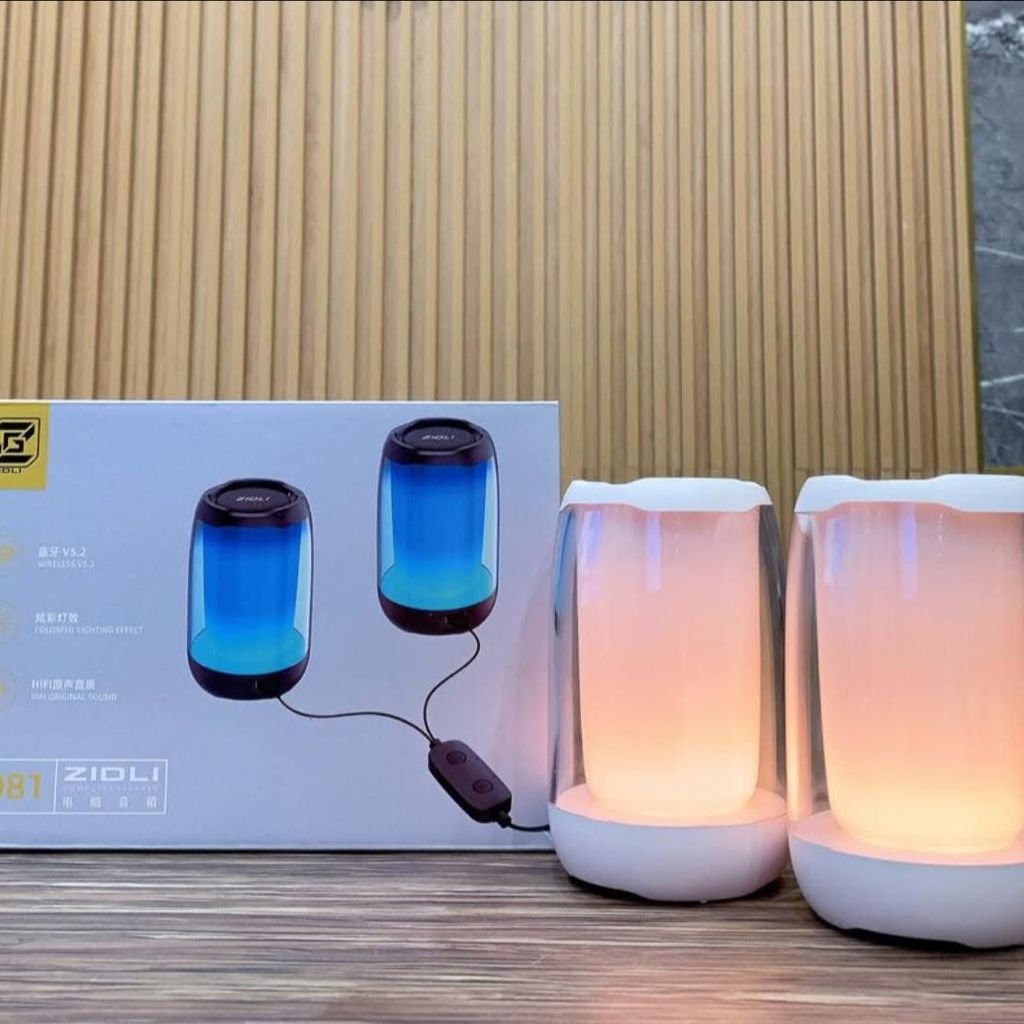 Cặp 2 Loa Bluetooth Zidli D81