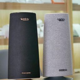 Loa Infinity R1 - màu ghi