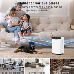 Máy hút ẩm bán dẫn thông minh Dehumidifier (hàng Amazon Mỹ )