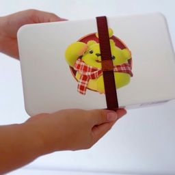 ✅ Hộp cơm trắng gấu Dooro xanh 1 tầng